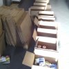 Raccolta Alimentare 2015